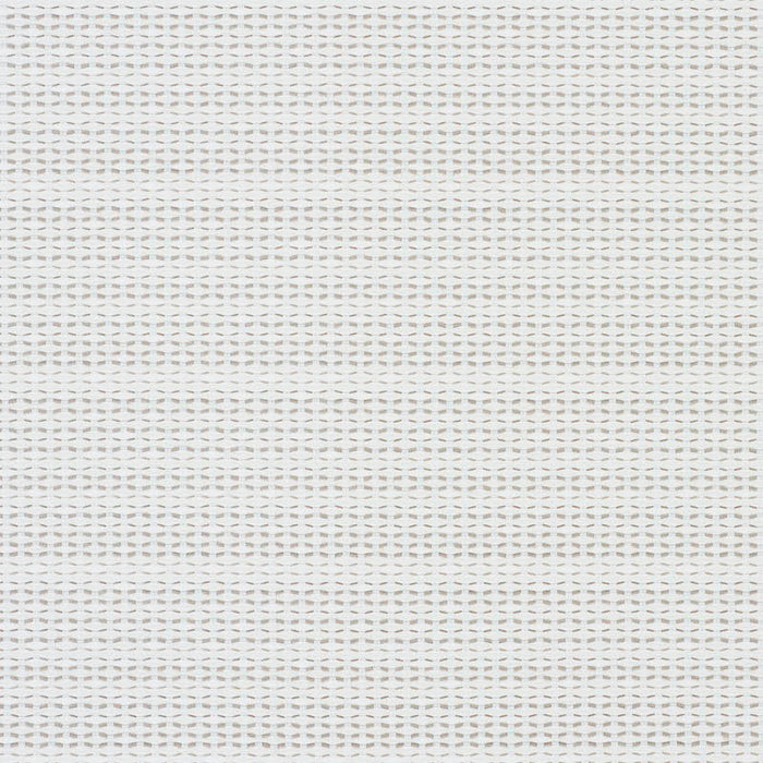Schumacher Branford Indoor/Outdoor Neutral Fabric Sample 78542