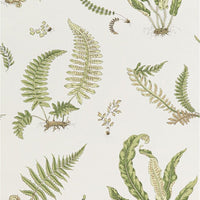 GP & J Baker Ferns Leaf Wallpaper BW45044.10.0