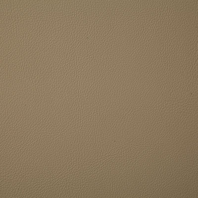 Pindler Howdy Beige Fabric 7879