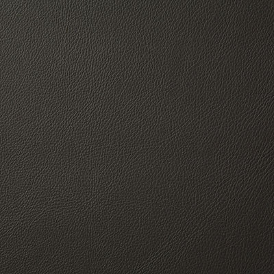 Pindler Howdy Clove Fabric 7879