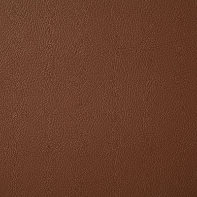 Pindler Howdy Cognac Fabric 7879