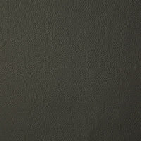Pindler Howdy Moss Fabric 7879
