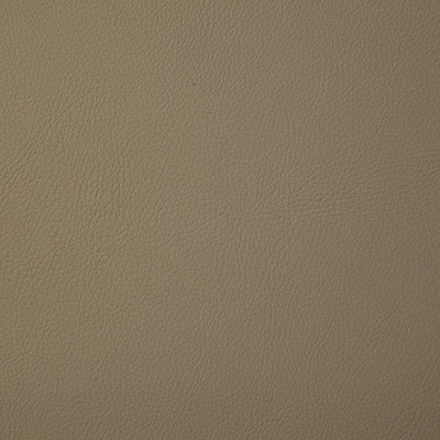 Pindler Howdy Stone Fabric 7879