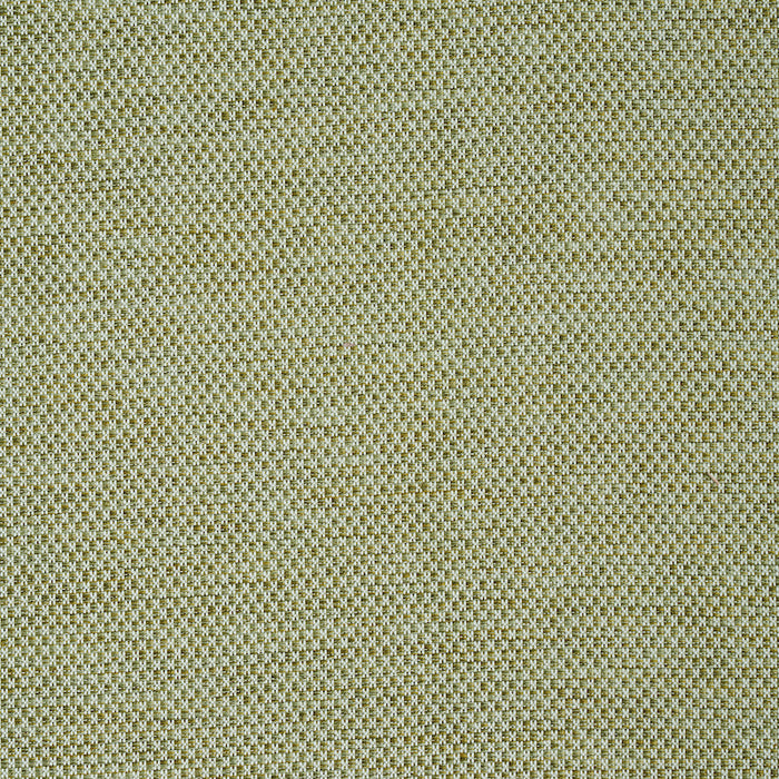 Schumacher Momo Hand Woven Texture Fern Fabric 78933