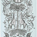Clarke & Clarke Kruger Eggshell Wallpaper W0102/01.CAC.0