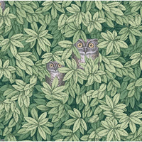 Cole & Son Foglie E Civette Green Wallpaper 123/11054.CS.0