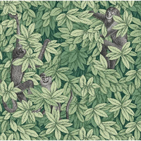 Cole & Son Foglie E Scimmie Green Wallpaper 123/10049.CS.0