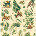 GP & J Baker Gertrude Document Green Wallpaper BW45127.1.0