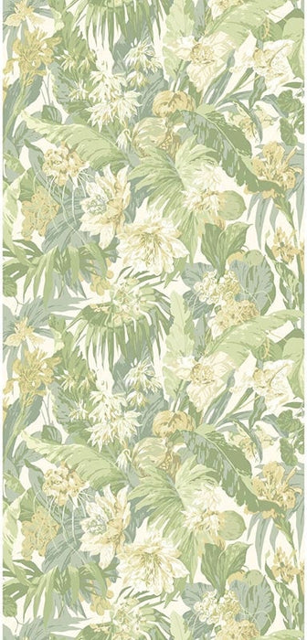 GP & J Baker Tropical Floral Soft Green Wallpaper BW45132.4.0