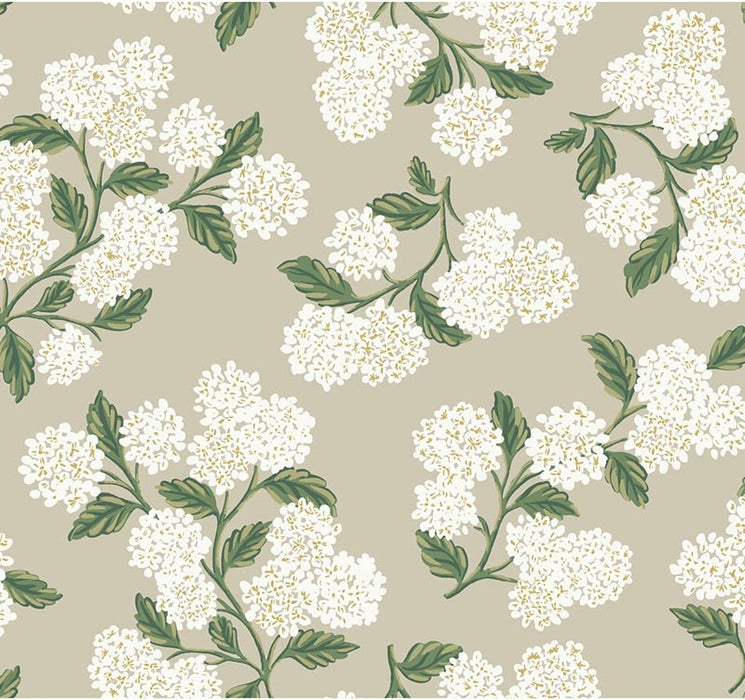 Kravet Design W3952 31 Wallpaper W3952.31.0