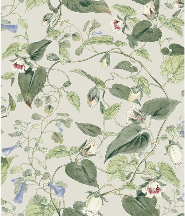 Kravet Design W4132 315 Wallpaper W4132.315.0