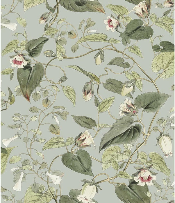 Kravet Design W4132 311 Wallpaper W4132.311.0