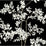 Kravet Design W4141 81 Wallpaper W4141.81.0