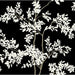 Kravet Design W4141 81 Wallpaper W4141.81.0