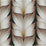 Kravet Design W4162 86 Wallpaper W4162.86.0