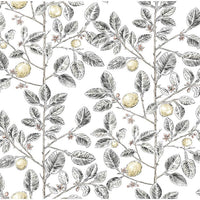 Kravet Design W4241 21 Wallpaper W4241.21.0