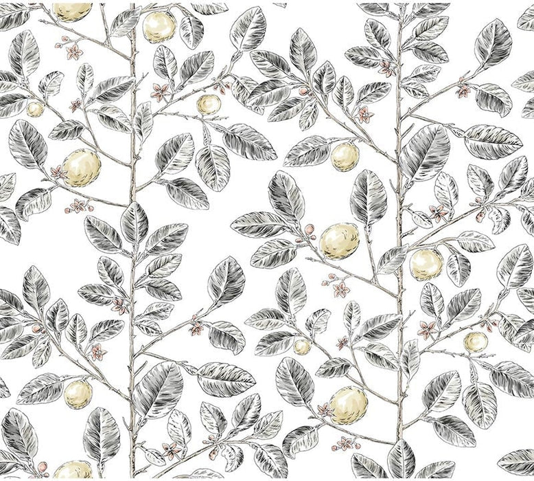 Kravet Design W4241 21 Wallpaper W4241.21.0