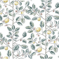 Kravet Design W4241 354 Wallpaper W4241.354.0