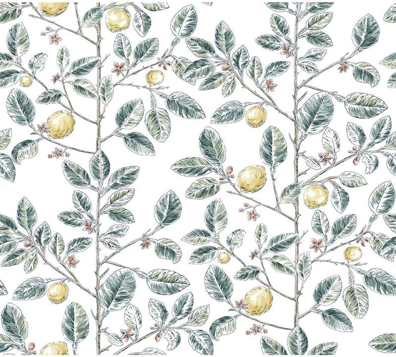 Kravet Design W4241 354 Wallpaper W4241.354.0