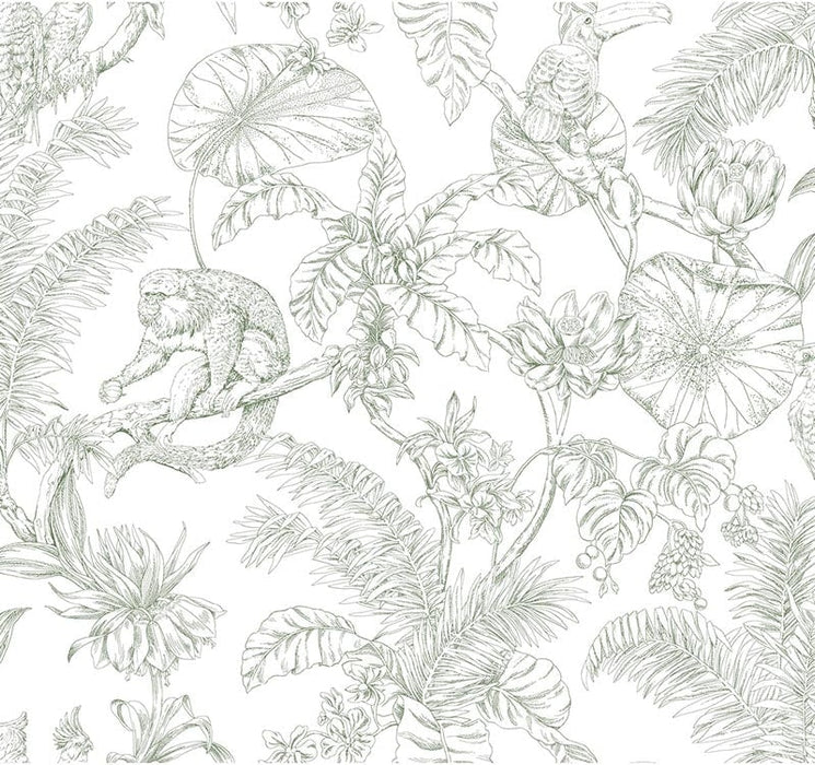 Kravet Design W4250 31 Wallpaper W4250.31.0