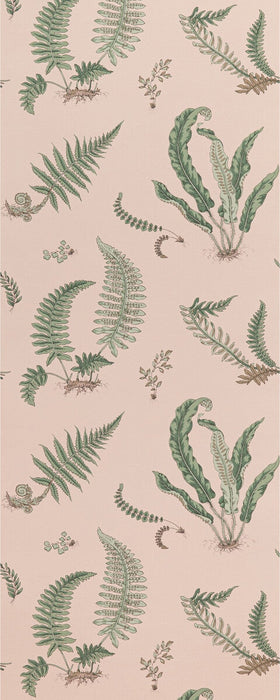GP & J Baker Ferns Blush Wallpaper Sample BW45044.11.0
