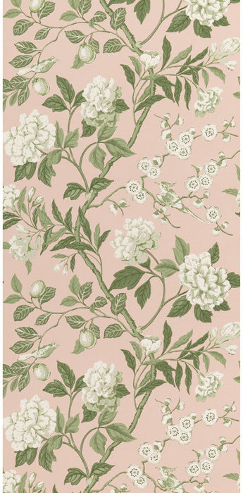 GP & J Baker Emperor'S Garden Blush Wallpaper Sample BW45000.11.0