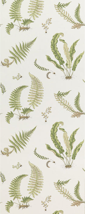 GP & J Baker Ferns Leaf Wallpaper Sample BW45044.10.0