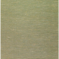 Winfield Thybony Althea Plain Olive Wallpaper WNS5576.WT.0