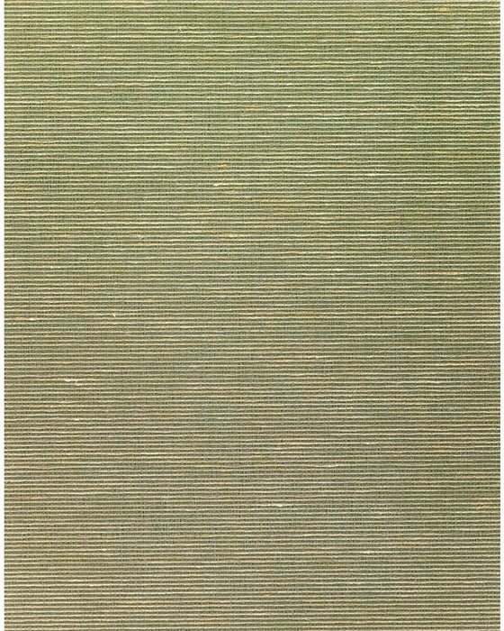 Winfield Thybony Althea Plain Olive Wallpaper WNS5576.WT.0