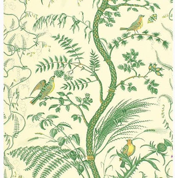 Brunschwig & Fils Bird And Thistle Green Wallpaper BR-69518.435.0