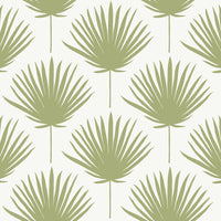 Winfield Thybony Shore Front Avocado Wallpaper WTK21204.WT.0