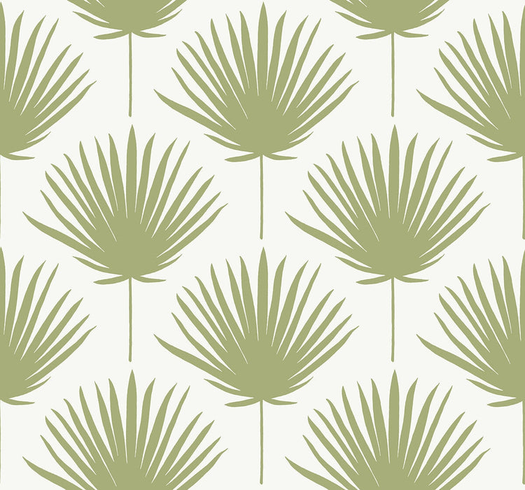 Winfield Thybony Shore Front Avocado Wallpaper WTK21204.WT.0
