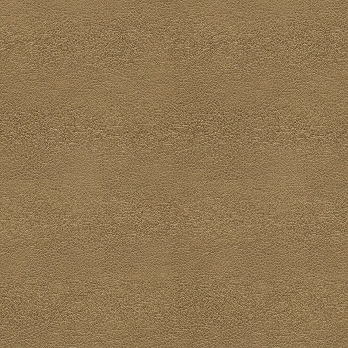 Kravet Smart Alina 106 Fabric ALINA.106.0