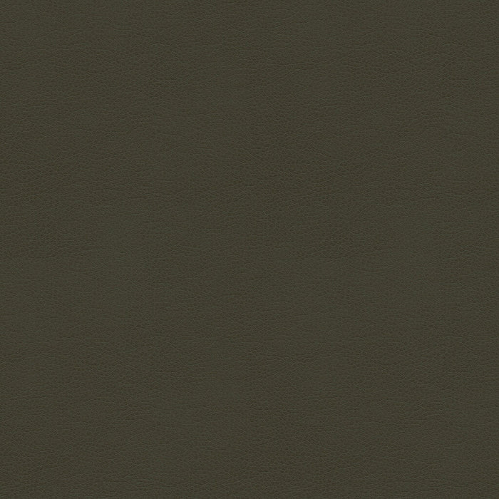 Kravet Smart Alina 21 Fabric ALINA.21.0