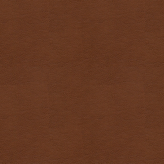 Kravet Smart Alina 6 Fabric ALINA.6.0