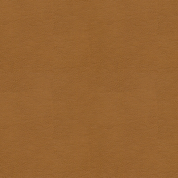 Kravet Smart Alina 16 Fabric ALINA.16.0