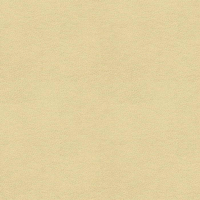 Kravet Smart Alina 116 Fabric ALINA.116.0