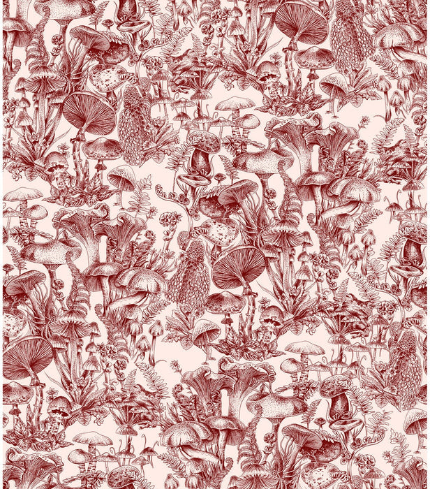 Cole & Son Fungi Forest Burgundy Wallpaper 122/1001.CS.0