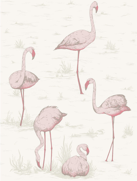Cole & Son Flamingos Pink/White Wallpaper Sample 95/8045.CS.0