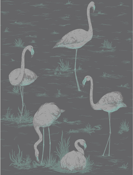 Cole & Son Flamingos Teal/Slvr/Bk Wallpaper Sample 95/8048.CS.0