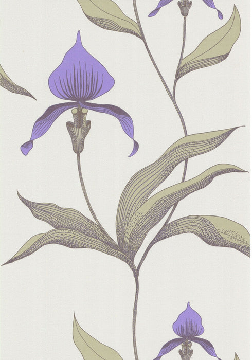 Cole & Son Orchid White/M Wallpaper Sample 66/4024.CS.0