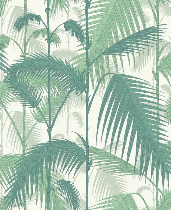 Cole & Son Palm Jungle Forest Gre/W Wallpaper Sample 95/1002.CS.0