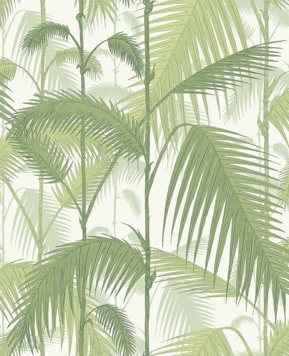 Cole & Son Palm Jungle Olive Gre/White Wallpaper Sample 95/1001.CS.0