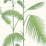 Cole & Son Palm Leaves Green/White Wallpaper Sample 95/1009.CS.0