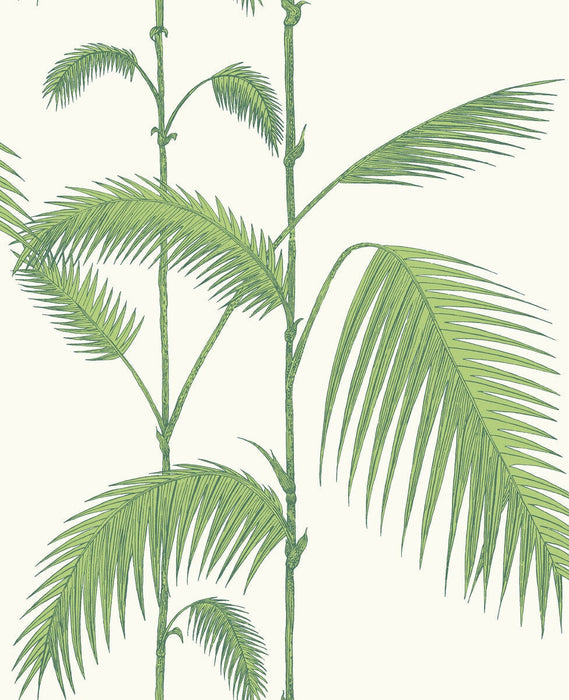 Cole & Son Palm Leaves Green/White Wallpaper Sample 95/1009.CS.0