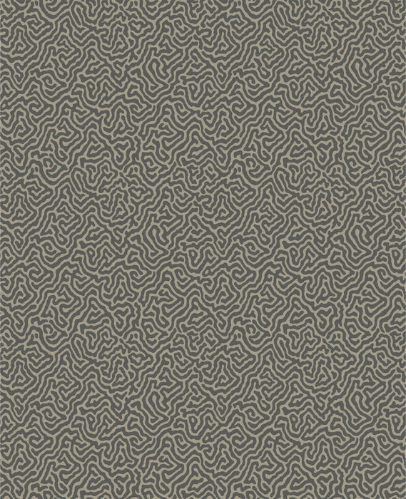Cole & Son Vermicelli Black & Linen Wallpaper Sample 107/4017.CS.0