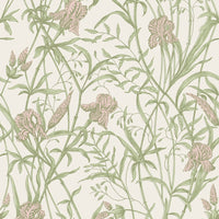 Cole & Son Iris Soft Coral On Chalk Wallpaper 128/5025.CS.0