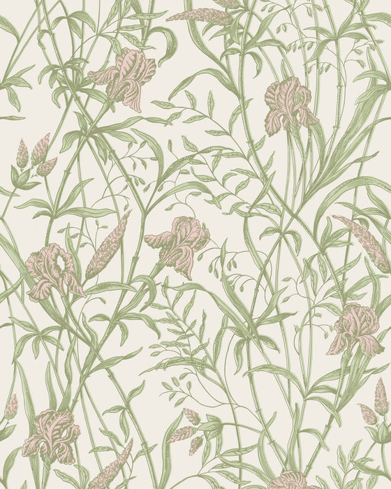 Cole & Son Iris Soft Coral On Chalk Wallpaper 128/5025.CS.0