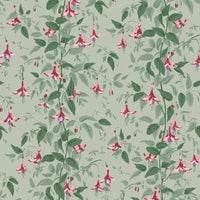 Cole & Son Fuschia Dusty Rose Wallpaper 128/6031.CS.0