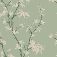 Cole & Son Chinese Branch Sage Wallpaper 128/3014.CS.0
